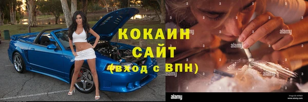 винт Алексин