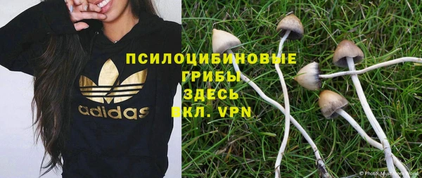 СК Алзамай
